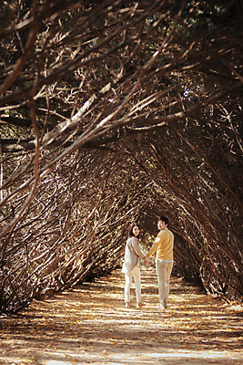 포토 JPG 주간 전신 나무 식물 라이프스타일 부부 계절 여자 남자 모션 한국 사람 동양인 성인 야외 두명 뒷모습 30대 걷기 손잡기 산책 한국인 가을 뒤돌아보기 가로수 수목원 경기도 부부라이프 파주 장년만 성인만 국내포토 자연요소 커플 아시아 뷰포인트 휴식 인종 생활 장년 파일형식