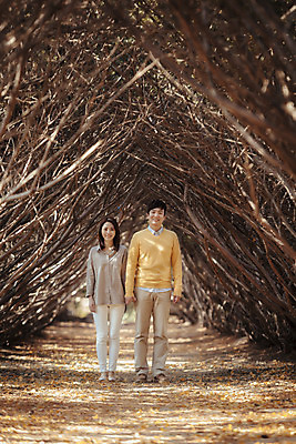 포토 JPG 주간 전신 나무 식물 라이프스타일 부부 계절 여자 남자 모션 한국 미소 사람 동양인 성인 야외 두명 앞모습 30대 걷기 손잡기 산책 한국인 가을 가로수 수목원 경기도 부부라이프 파주 장년만 성인만 국내포토 자연요소 커플 아시아 뷰포인트 휴식 표정 인종 생활 장년 파일형식