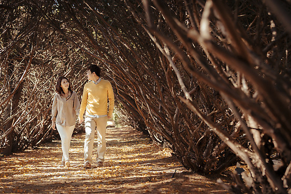 포토 JPG 주간 전신 나무 식물 라이프스타일 부부 계절 여자 남자 모션 한국 사람 동양인 성인 야외 두명 앞모습 30대 걷기 손잡기 산책 한국인 가을 가로수 수목원 경기도 부부라이프 파주 장년만 성인만 국내포토 자연요소 커플 아시아 뷰포인트 휴식 인종 생활 장년 파일형식