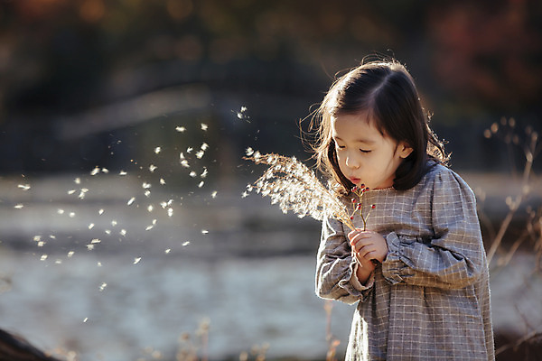 포토 JPG 주간 라이프스타일 계절 여자 어린이라이프 어린이 모션 한국 갈대 한명 서기 들기 사람 동양인 상반신 야외 앞모습 귀여움 한국인 가을 불기 순수 수목원 경기도 천진난만 파주 여자만 여자한명만 어린이만 소녀만 소녀한명만 국내포토 자연요소 식물 1 아시아 뷰포인트 컨셉 인종 생활 파일형식