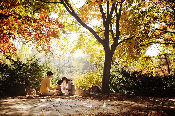 포토 JPG 주간 나무 식물 라이프스타일 계절 여자 남자 딸 어린이 단풍 가족 모션 단풍나무 엄마 휴식 한국 함께함 대화 사람 앉기 동양인 상반신 성인 야외 뒷모습 세명 30대 소풍 화목 다정 산책 한국인 가을 가족라이프 아빠 수목원 경기도 돌계단 파주 국내포토 자연요소 아시아 뷰포인트 컨셉 잎 관계 말하기 인종 생활 장년 야외활동 계단 돌_바위 파일형식