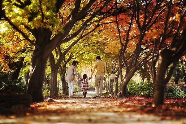 포토 JPG 주간 전신 나무 식물 라이프스타일 계절 여자 남자 딸 어린이 단풍 가족 모션 단풍나무 엄마 한국 함께함 사람 동양인 성인 야외 뒷모습 세명 30대 소풍 걷기 손잡기 화목 다정 산책 한국인 가을 가족라이프 아빠 가로수 수목원 경기도 파주 국내포토 자연요소 아시아 뷰포인트 컨셉 잎 관계 휴식 인종 생활 장년 야외활동 파일형식