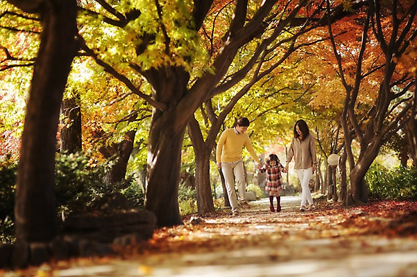 포토 JPG 주간 전신 나무 식물 라이프스타일 계절 여자 남자 딸 어린이 단풍 가족 모션 단풍나무 엄마 한국 함께함 사람 동양인 성인 야외 앞모습 세명 30대 소풍 걷기 손잡기 화목 다정 산책 한국인 가을 가족라이프 아빠 가로수 수목원 경기도 파주 국내포토 자연요소 아시아 뷰포인트 컨셉 잎 관계 휴식 인종 생활 장년 야외활동 파일형식