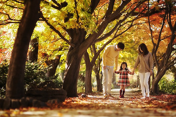 포토 JPG 주간 전신 라이프스타일 계절 여자 남자 딸 어린이 가족 모션 엄마 한국 함께함 사람 동양인 성인 야외 앞모습 세명 30대 소풍 걷기 손잡기 화목 다정 산책 한국인 가을 가족라이프 아빠 가로수 수목원 경기도 파주 국내포토 자연요소 아시아 뷰포인트 컨셉 관계 휴식 인종 생활 장년 야외활동 파일형식