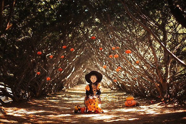 포토 JPG 주간 전신 나무 식물 라이프스타일 계절 여자 어린이라이프 어린이 모션 호박 한국 한명 사람 앉기 동양인 야외 앞모습 귀여움 할로윈 한국인 가을 분위기 순수 마녀 수목원 경기도 잭오랜턴 천진난만 파주 여자만 여자한명만 어린이만 소녀만 소녀한명만 국내포토 자연요소 1 아시아 뷰포인트 컨셉 채소 인종 생활 파일형식