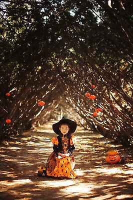 포토 JPG 주간 전신 나무 식물 라이프스타일 계절 여자 어린이라이프 어린이 모션 호박 한국 한명 사람 앉기 동양인 야외 앞모습 귀여움 할로윈 한국인 가을 분위기 순수 마녀 수목원 경기도 잭오랜턴 천진난만 파주 여자만 여자한명만 어린이만 소녀만 소녀한명만 국내포토 자연요소 1 아시아 뷰포인트 컨셉 채소 인종 생활 파일형식