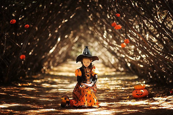 포토 JPG 주간 전신 나무 식물 라이프스타일 계절 여자 어린이라이프 어린이 모션 호박 한국 한명 사람 앉기 동양인 야외 앞모습 귀여움 할로윈 한국인 가을 분위기 순수 마녀 수목원 경기도 잭오랜턴 천진난만 파주 여자만 여자한명만 어린이만 소녀만 소녀한명만 국내포토 자연요소 1 아시아 뷰포인트 컨셉 채소 인종 생활 파일형식