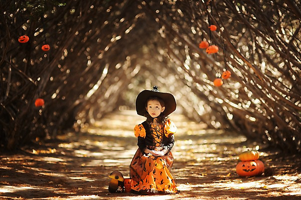 포토 JPG 주간 전신 나무 식물 라이프스타일 계절 여자 어린이라이프 어린이 모션 호박 한국 한명 사람 앉기 동양인 야외 앞모습 귀여움 할로윈 한국인 가을 분위기 순수 마녀 수목원 경기도 잭오랜턴 천진난만 파주 여자만 여자한명만 어린이만 소녀만 소녀한명만 국내포토 자연요소 1 아시아 뷰포인트 컨셉 채소 인종 생활 파일형식