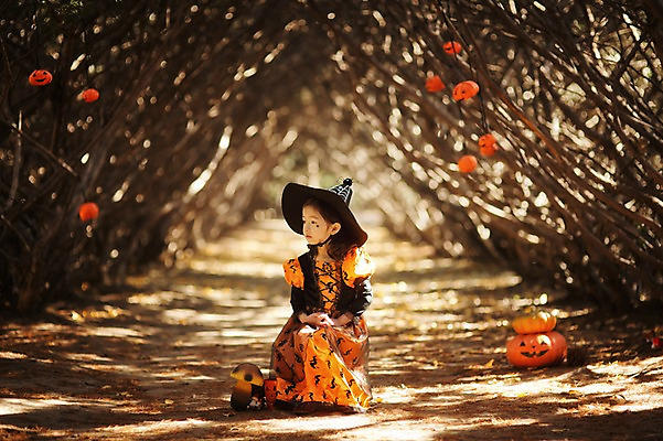 포토 JPG 주간 전신 나무 식물 라이프스타일 응시 계절 여자 어린이라이프 어린이 모션 호박 한국 한명 사람 앉기 동양인 야외 앞모습 귀여움 할로윈 한국인 가을 분위기 순수 마녀 수목원 경기도 잭오랜턴 천진난만 파주 여자만 여자한명만 어린이만 소녀만 소녀한명만 국내포토 자연요소 1 시선 아시아 뷰포인트 컨셉 채소 인종 생활 파일형식