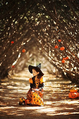 포토 JPG 주간 전신 나무 식물 라이프스타일 응시 계절 여자 어린이라이프 어린이 모션 호박 한국 한명 사람 앉기 동양인 야외 앞모습 귀여움 할로윈 한국인 가을 분위기 순수 마녀 수목원 경기도 잭오랜턴 천진난만 파주 여자만 여자한명만 어린이만 소녀만 소녀한명만 국내포토 자연요소 1 시선 아시아 뷰포인트 컨셉 채소 인종 생활 파일형식