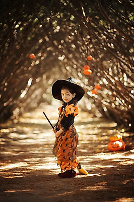 포토 JPG 주간 전신 나무 식물 라이프스타일 계절 여자 어린이라이프 어린이 호박 한국 한명 서기 사람 동양인 야외 옆모습 귀여움 할로윈 한국인 가을 분위기 승차 숲 빗자루 순수 수목원 경기도 잭오랜턴 천진난만 파주 여자만 여자한명만 어린이만 소녀만 소녀한명만 국내포토 자연요소 1 아시아 뷰포인트 컨셉 채소 모션 인종 생활 청소도구 파일형식