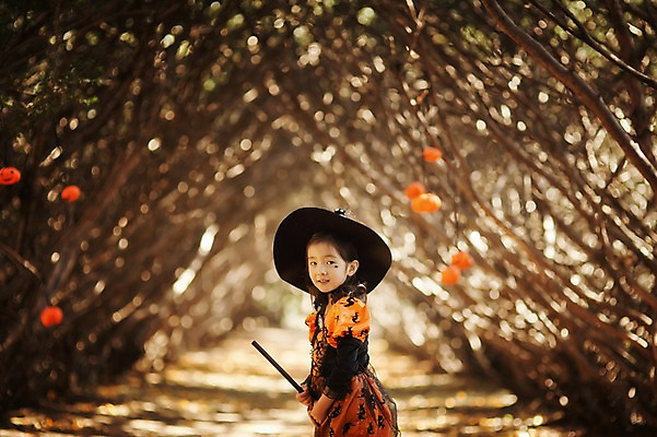 포토 JPG 주간 나무 식물 라이프스타일 계절 여자 어린이라이프 어린이 호박 한국 한명 서기 사람 동양인 상반신 야외 옆모습 귀여움 할로윈 한국인 가을 분위기 승차 숲 빗자루 순수 수목원 경기도 잭오랜턴 천진난만 파주 여자만 여자한명만 어린이만 소녀만 소녀한명만 국내포토 자연요소 1 아시아 뷰포인트 컨셉 채소 모션 인종 생활 청소도구 파일형식