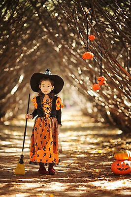 포토 JPG 주간 전신 나무 식물 라이프스타일 계절 여자 어린이라이프 어린이 모션 호박 한국 한명 서기 들기 사람 동양인 야외 앞모습 귀여움 할로윈 한국인 가을 분위기 숲 빗자루 순수 수목원 경기도 잭오랜턴 천진난만 파주 여자만 여자한명만 어린이만 소녀만 소녀한명만 국내포토 자연요소 1 아시아 뷰포인트 컨셉 채소 인종 생활 청소도구 파일형식