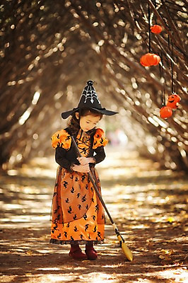 포토 JPG 주간 전신 나무 식물 라이프스타일 계절 여자 어린이라이프 어린이 모션 호박 한국 한명 서기 사람 동양인 야외 앞모습 귀여움 할로윈 한국인 가을 분위기 숲 빗자루 순수 수목원 경기도 잭오랜턴 천진난만 파주 여자만 여자한명만 어린이만 소녀만 소녀한명만 국내포토 자연요소 1 아시아 뷰포인트 컨셉 채소 인종 생활 청소도구 파일형식
