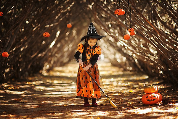 포토 JPG 주간 전신 나무 식물 라이프스타일 계절 여자 어린이라이프 어린이 모션 호박 한국 한명 서기 사람 동양인 야외 앞모습 귀여움 할로윈 한국인 가을 분위기 숲 빗자루 순수 수목원 경기도 잭오랜턴 천진난만 파주 여자만 여자한명만 어린이만 소녀만 소녀한명만 국내포토 자연요소 1 아시아 뷰포인트 컨셉 채소 인종 생활 청소도구 파일형식