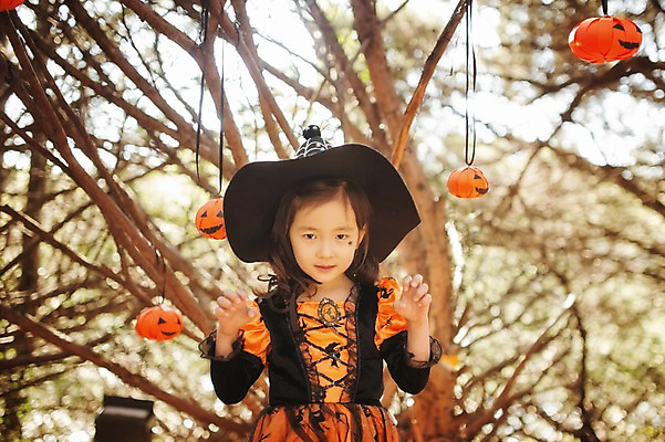 포토 JPG 주간 나무 식물 라이프스타일 계절 여자 어린이라이프 어린이 모션 호박 한국 한명 서기 사람 동양인 손짓 상반신 야외 앞모습 귀여움 할로윈 한국인 가을 분위기 숲 무서움 순수 수목원 경기도 잭오랜턴 천진난만 파주 여자만 여자한명만 어린이만 소녀만 소녀한명만 국내포토 자연요소 1 감정 아시아 뷰포인트 컨셉 채소 인종 생활 파일형식