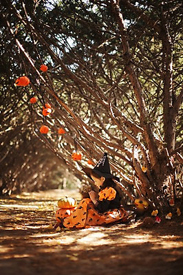 포토 JPG 주간 전신 나무 식물 동물 한마리 라이프스타일 계절 여자 어린이라이프 어린이 모션 조류 호박 한국 한명 사람 앉기 동양인 야외 옆모습 귀여움 할로윈 한국인 가을 분위기 순수 마녀 수목원 경기도 잭오랜턴 천진난만 파주 여자만 여자한명만 어린이만 소녀만 소녀한명만 국내포토 자연요소 1 아시아 뷰포인트 컨셉 채소 인종 생활 파일형식