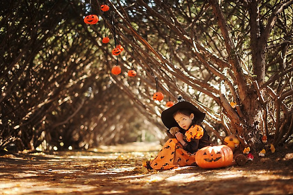 포토 JPG 주간 전신 나무 식물 동물 한마리 라이프스타일 계절 여자 어린이라이프 어린이 모션 조류 호박 한국 한명 사람 앉기 동양인 야외 옆모습 귀여움 할로윈 한국인 가을 분위기 숲 순수 마녀 수목원 경기도 잭오랜턴 천진난만 파주 여자만 여자한명만 어린이만 소녀만 소녀한명만 국내포토 자연요소 1 아시아 뷰포인트 컨셉 채소 인종 생활 파일형식