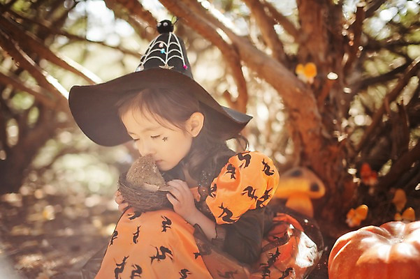 포토 JPG 주간 동물 한마리 라이프스타일 계절 여자 어린이라이프 어린이 모션 조류 호박 키스 한국 한명 사람 앉기 동양인 상반신 야외 귀여움 할로윈 한국인 가을 분위기 순수 수목원 경기도 잭오랜턴 천진난만 파주 여자만 여자한명만 어린이만 소녀만 소녀한명만 국내포토 자연요소 1 아시아 컨셉 채소 인종 생활 애정표현 파일형식