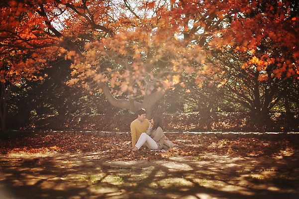 포토 JPG 주간 전신 나무 라이프스타일 부부 계절 여자 남자 단풍 모션 단풍나무 한국 사람 앉기 동양인 성인 야외 두명 앞모습 30대 소풍 한국인 가을 수목원 경기도 부부라이프 파주 장년만 성인만 국내포토 자연요소 식물 커플 아시아 뷰포인트 잎 인종 생활 장년 야외활동 파일형식
