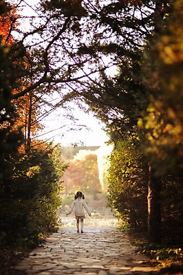 포토 JPG 주간 전신 나무 식물 라이프스타일 계절 여자 어린이라이프 어린이 모션 단풍나무 한국 한명 서기 사람 동양인 야외 뒷모습 소풍 걷기 귀여움 산책 한국인 가을 순수 수목원 경기도 천진난만 파주 여자만 여자한명만 어린이만 소녀만 소녀한명만 국내포토 자연요소 1 아시아 뷰포인트 컨셉 단풍 휴식 인종 생활 야외활동 파일형식