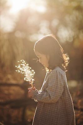 포토 JPG 주간 라이프스타일 계절 여자 어린이라이프 어린이 모션 한국 갈대 한명 서기 들기 사람 동양인 상반신 야외 옆모습 햇빛 귀여움 한국인 가을 순수 수목원 경기도 천진난만 파주 여자만 여자한명만 어린이만 소녀만 소녀한명만 국내포토 자연요소 식물 1 아시아 뷰포인트 컨셉 인종 생활 태양 파일형식