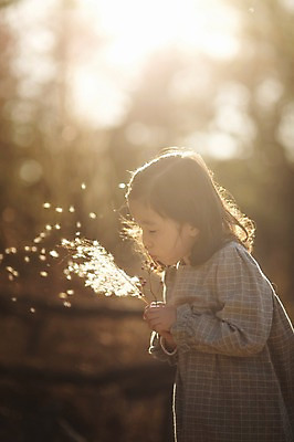 포토 JPG 주간 라이프스타일 계절 여자 어린이라이프 어린이 모션 한국 갈대 한명 서기 들기 사람 동양인 야외 옆모습 햇빛 귀여움 한국인 가을 불기 순수 갈대밭 수목원 경기도 천진난만 파주 여자만 여자한명만 어린이만 소녀만 소녀한명만 국내포토 자연요소 식물 1 아시아 뷰포인트 컨셉 인종 생활 태양 파일형식 갈대_식물