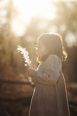 포토 JPG 주간 라이프스타일 계절 여자 어린이라이프 어린이 모션 한국 갈대 한명 서기 사람 동양인 야외 옆모습 햇빛 귀여움 한국인 가을 불기 순수 수목원 경기도 천진난만 파주 여자만 여자한명만 어린이만 소녀만 소녀한명만 국내포토 자연요소 식물 1 아시아 뷰포인트 컨셉 인종 생활 태양 파일형식