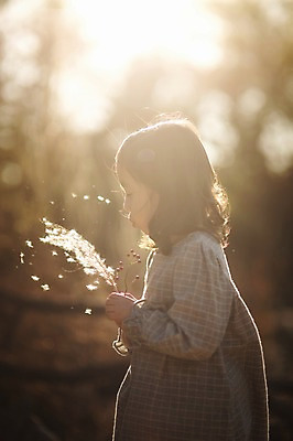 포토 JPG 주간 라이프스타일 계절 여자 어린이라이프 어린이 모션 한국 갈대 한명 서기 들기 사람 동양인 상반신 야외 옆모습 햇빛 귀여움 한국인 가을 불기 순수 수목원 경기도 천진난만 파주 여자만 여자한명만 어린이만 소녀만 소녀한명만 국내포토 자연요소 식물 1 아시아 뷰포인트 컨셉 인종 생활 태양 파일형식