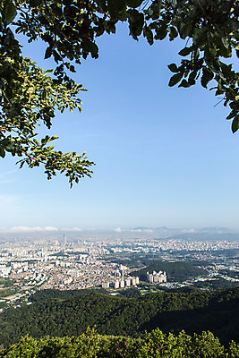 포토 JPG 주간 나무 식물 계절 하늘 한국 풍경 사람없음 야외 여름 남한산성 국내포토 자연요소 아시아 경기도 파일형식