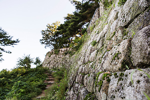 포토 JPG 주간 나무 식물 계절 하늘 한국 풍경 사람없음 야외 여름 성벽 남한산성 국내포토 자연요소 아시아 경기도 파일형식