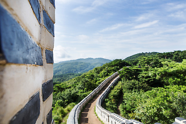 포토 JPG 주간 나무 식물 계절 하늘 한국 풍경 사람없음 야외 여름 성벽 남한산성 성곽길 국내포토 자연요소 아시아 길 경기도 파일형식