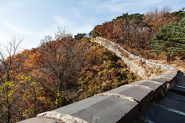 포토 JPG 주간 나무 식물 계절 단풍 한국 풍경 사람없음 야외 가을 성벽 남한산성 성곽길 국내포토 자연요소 아시아 길 잎 경기도 파일형식
