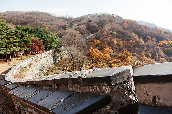 포토 JPG 주간 나무 식물 계절 단풍 한국 풍경 사람없음 야외 가을 성벽 남한산성 성곽길 국내포토 자연요소 아시아 길 잎 경기도 파일형식