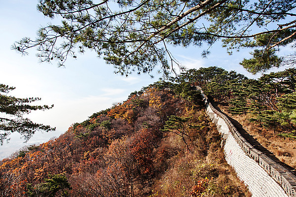 포토 JPG 주간 나무 식물 계절 단풍 산 한국 풍경 사람없음 야외 가을 성벽 남한산성 성곽길 국내포토 자연요소 아시아 길 잎 경기도 파일형식 나라