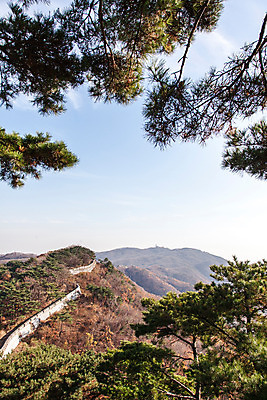 포토 JPG 주간 나무 식물 하늘 산 한국 풍경 사람없음 야외 남한산성 성곽길 국내포토 자연요소 아시아 길 경기도 파일형식