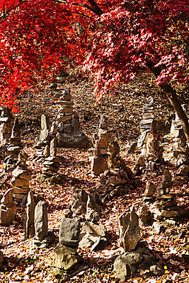 포토 JPG 주간 나무 식물 계절 단풍 한국 풍경 사람없음 야외 쌓기 가을 석탑 남한산성 국내포토 자연요소 아시아 잎 모션 탑 경기도 파일형식