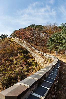 포토 JPG 주간 나무 식물 계절 단풍 하늘 산 한국 풍경 사람없음 야외 가을 성벽 남한산성 성곽길 국내포토 자연요소 아시아 길 잎 경기도 파일형식