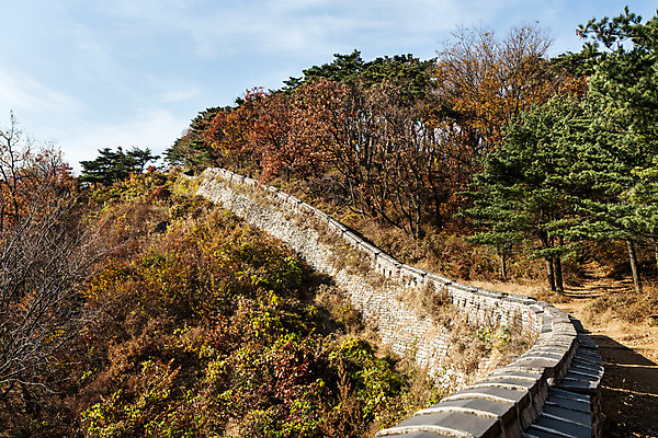 포토 JPG 주간 나무 식물 계절 단풍 한국 풍경 사람없음 야외 가을 성벽 남한산성 성곽길 국내포토 자연요소 아시아 길 잎 경기도 파일형식