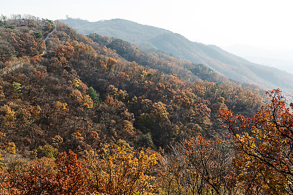 포토 JPG 주간 나무 식물 계절 단풍 하늘 산 한국 풍경 사람없음 야외 가을 남한산성 국내포토 자연요소 아시아 잎 경기도 파일형식