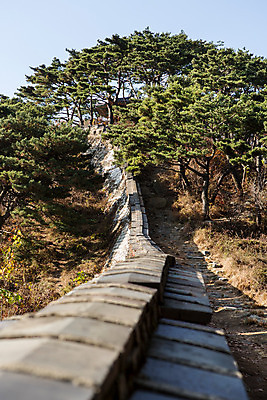 포토 JPG 주간 나무 식물 계절 한국 풍경 사람없음 야외 가을 성벽 남한산성 성곽길 국내포토 자연요소 아시아 길 경기도 파일형식