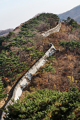 포토 JPG 주간 나무 식물 계절 산 한국 풍경 사람없음 야외 가을 성벽 남한산성 국내포토 자연요소 아시아 경기도 파일형식