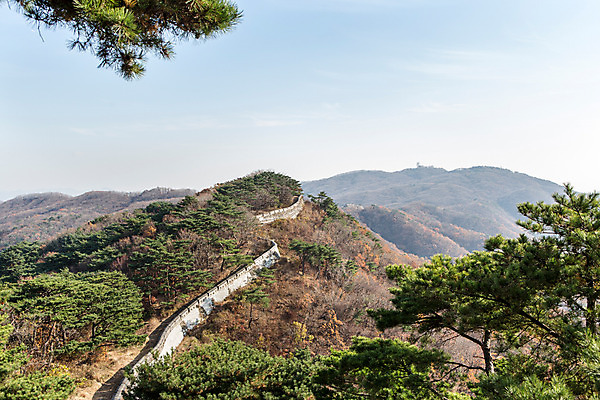 포토 JPG 주간 나무 식물 계절 하늘 산 한국 풍경 사람없음 야외 가을 남한산성 국내포토 자연요소 아시아 경기도 파일형식