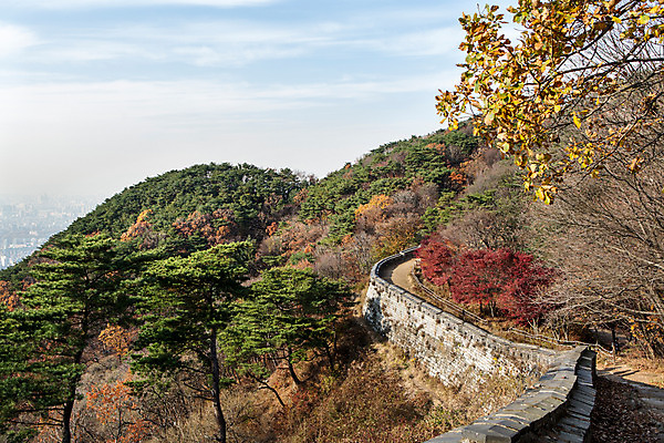 포토 JPG 주간 나무 식물 계절 단풍 하늘 산 한국 풍경 사람없음 야외 가을 성벽 남한산성 성곽길 국내포토 자연요소 아시아 길 잎 경기도 파일형식