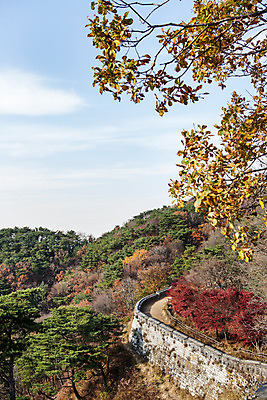 포토 JPG 주간 나무 식물 계절 단풍 하늘 산 한국 풍경 사람없음 야외 가을 성벽 남한산성 성곽길 국내포토 자연요소 아시아 길 잎 경기도 파일형식