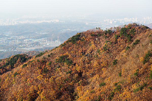 포토 JPG 주간 나무 식물 계절 단풍 하늘 산 한국 풍경 사람없음 야외 가을 남한산성 국내포토 자연요소 아시아 잎 경기도 파일형식