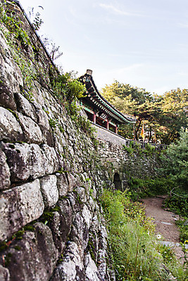 포토 JPG 주간 나무 식물 한국문화 건축물 계절 돌담 풍경 사람없음 야외 여름 성벽 남한산성 국내포토 자연요소 동양문화 건축 한국 담장 돌_바위 경기도 파일형식