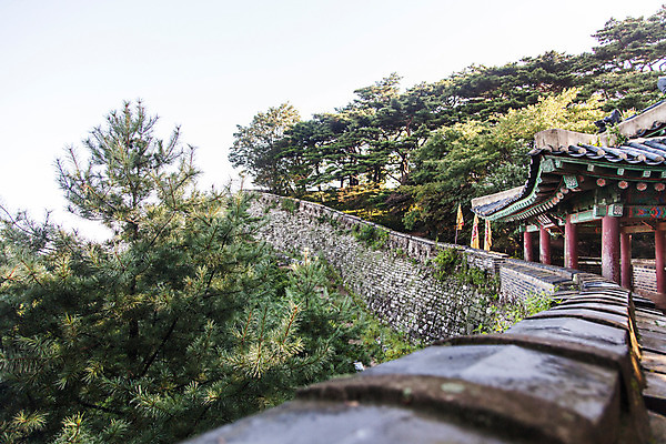 포토 JPG 주간 나무 식물 한국문화 건축물 계절 풍경 사람없음 야외 여름 소나무 남한산성 성곽길 국내포토 자연요소 동양문화 건축 길 한국 경기도 파일형식