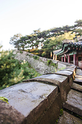 포토 JPG 주간 나무 식물 한국문화 건축물 계절 풍경 사람없음 야외 여름 돌_바위 성벽 남한산성 성곽길 국내포토 자연요소 동양문화 건축 길 한국 경기도 파일형식