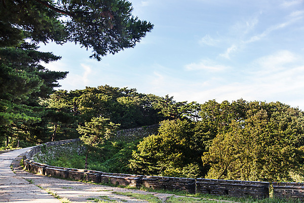 포토 JPG 주간 나무 식물 구름 계절 하늘 한국 풍경 사람없음 야외 여름 성벽 남한산성 성곽길 국내포토 자연요소 아시아 길 경기도 파일형식